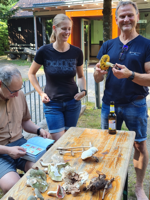 Besprechung der Pilzfunde Besprechung der Pilzfunde