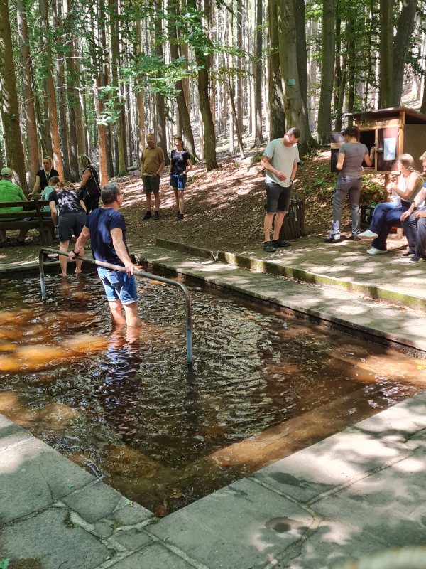 Pilzwanderung mit Kneipp-Anwendung Pilzwanderung mit Kneipp-Anwendung
