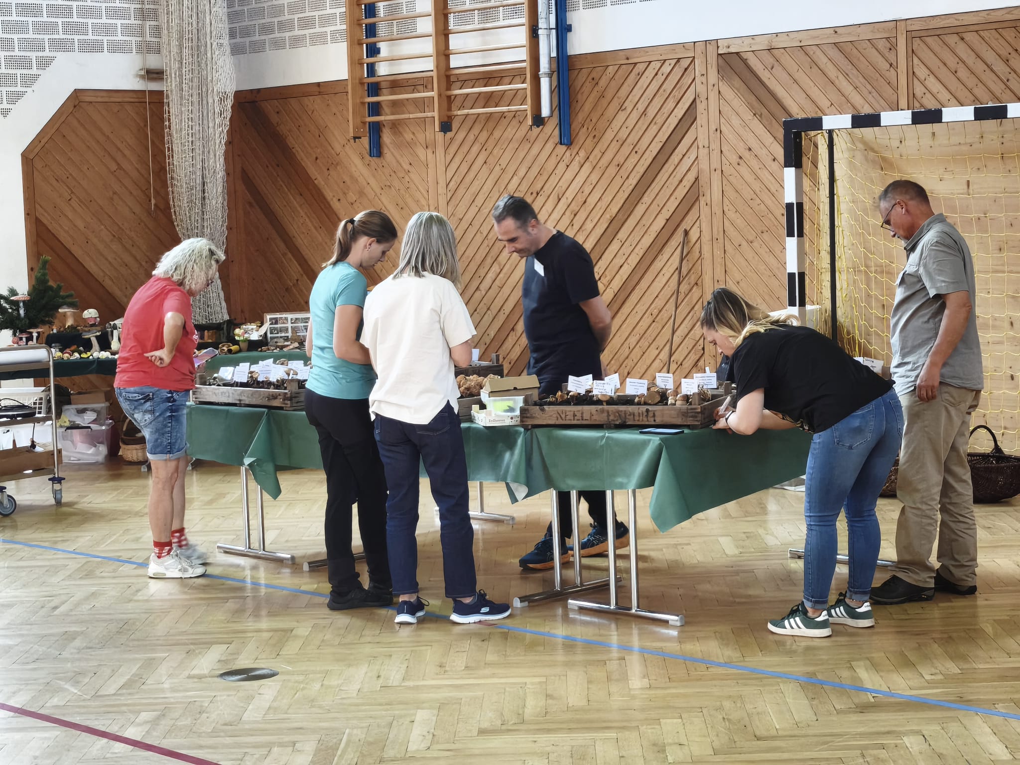 Ausstellung
